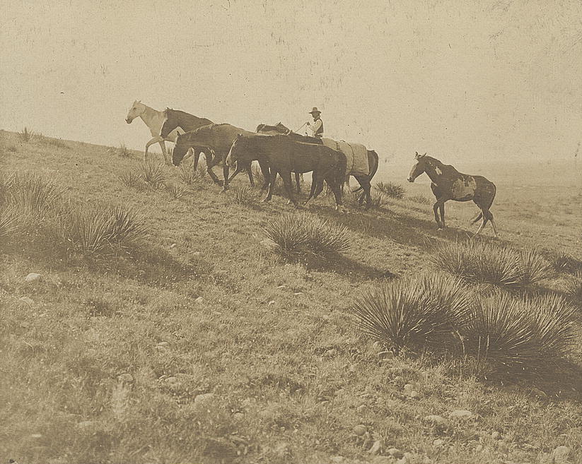 実際のカウボーイ（1907年、Erwin E. Smith 撮影）。Marlboro Man が広めたのは、この現実の姿ではなく、広告が作り上げた「神話的カウボーイ像」だった（米国議会図書館所蔵／パブリックドメイン）