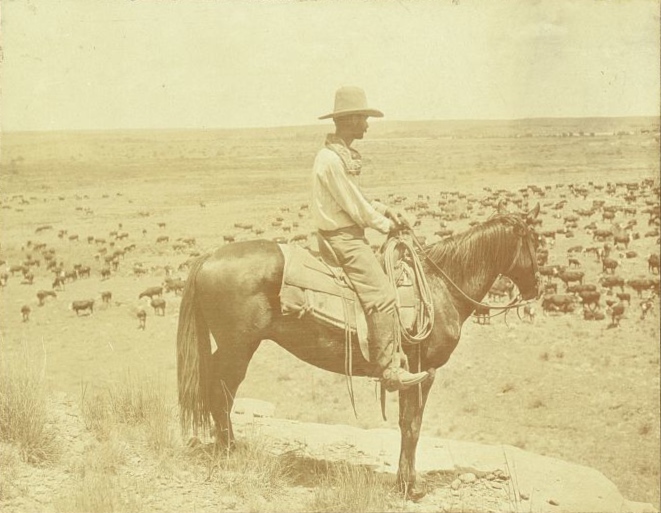 テキサスのカウボーイ（1907年、Erwin E. Smith 撮影）。フロンティアは消えても、その姿は「興行・映画・広告」で神話として再現され続けた（米国議会図書館所蔵／パブリックドメイン）